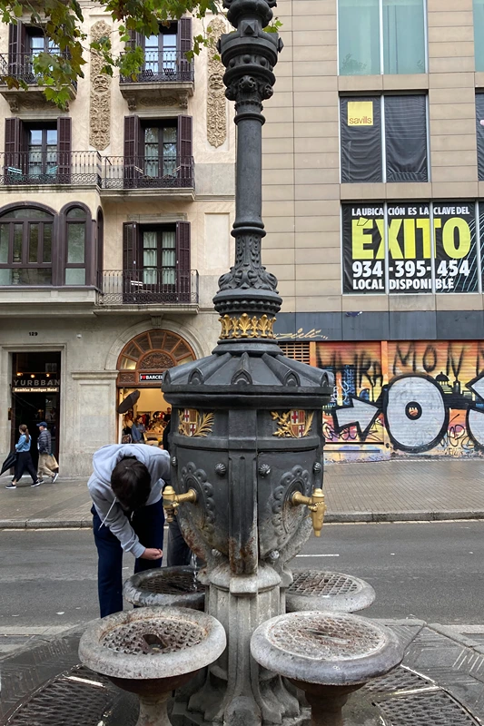 A photo of the Font de Canaletes on the Ramblas in Barcelona, a famous fountain with the allegedly magical property of drawing you back to the city if you drink from it. Photo © Dugald Steer 2024.